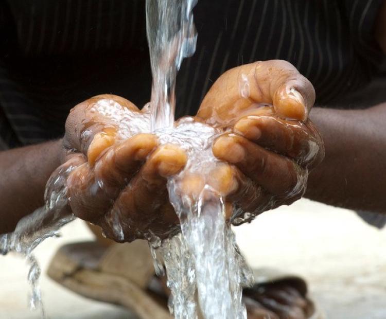 Duis aute irure dolor in reprehenderit in voluptate velit