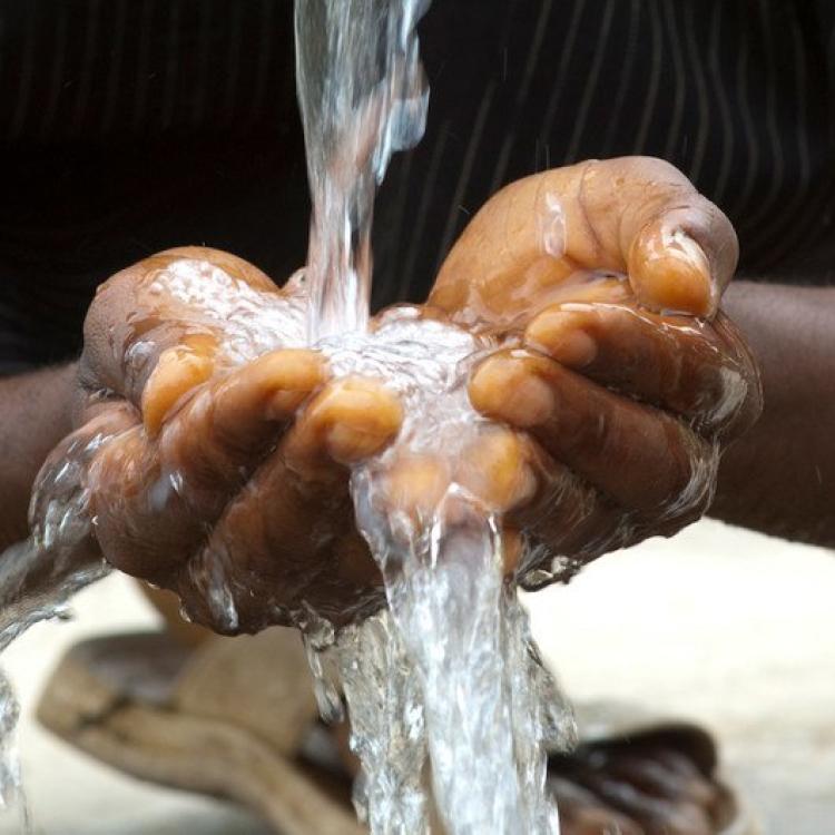 Duis aute irure dolor in reprehenderit in voluptate velit